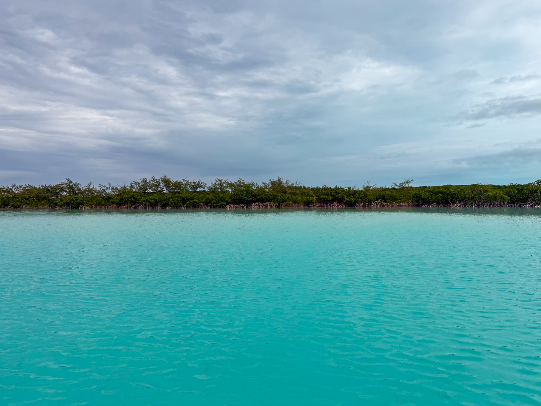 Exuma photo titled Exuma 70