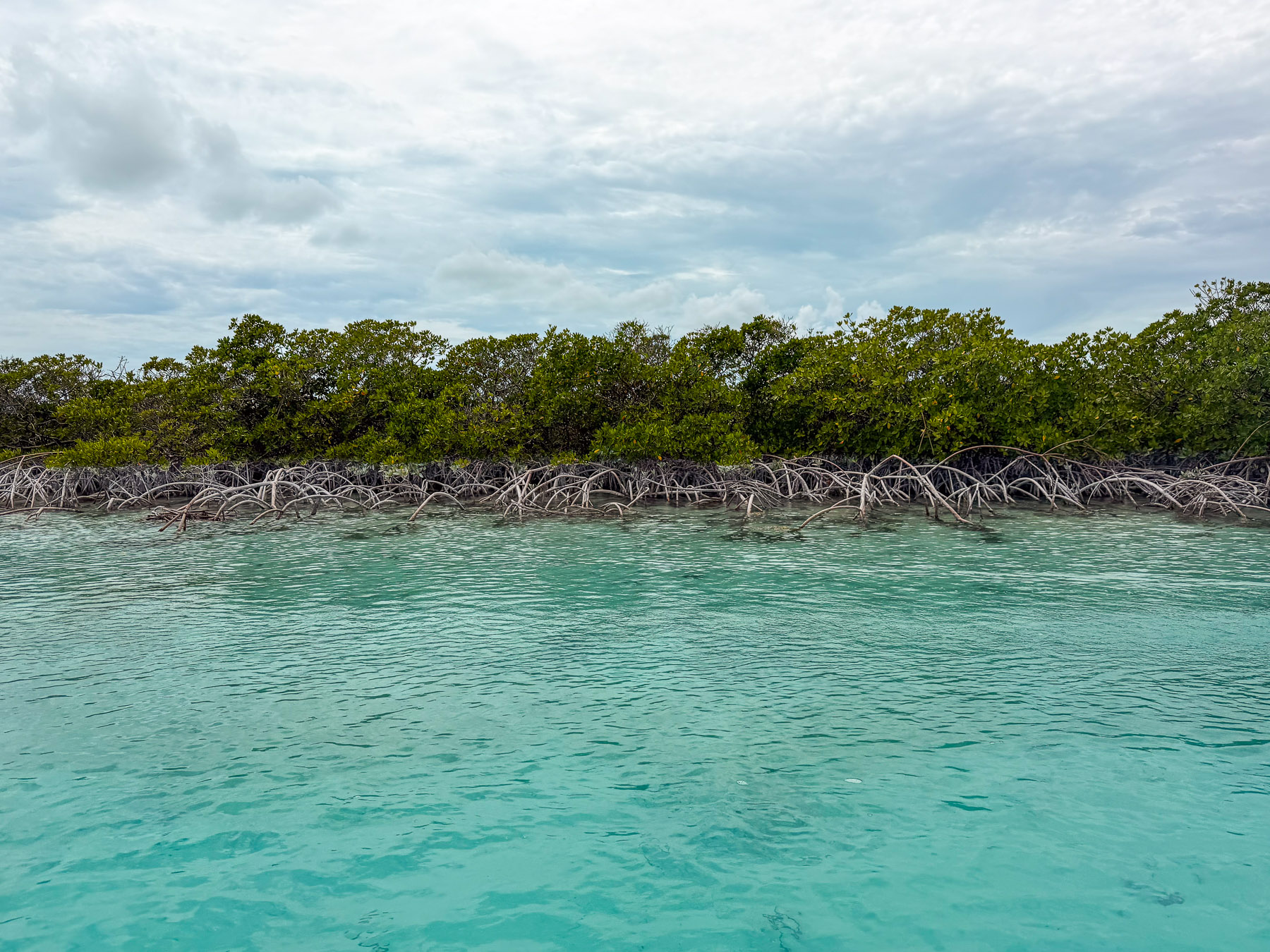 Exuma photo titled Exuma 71