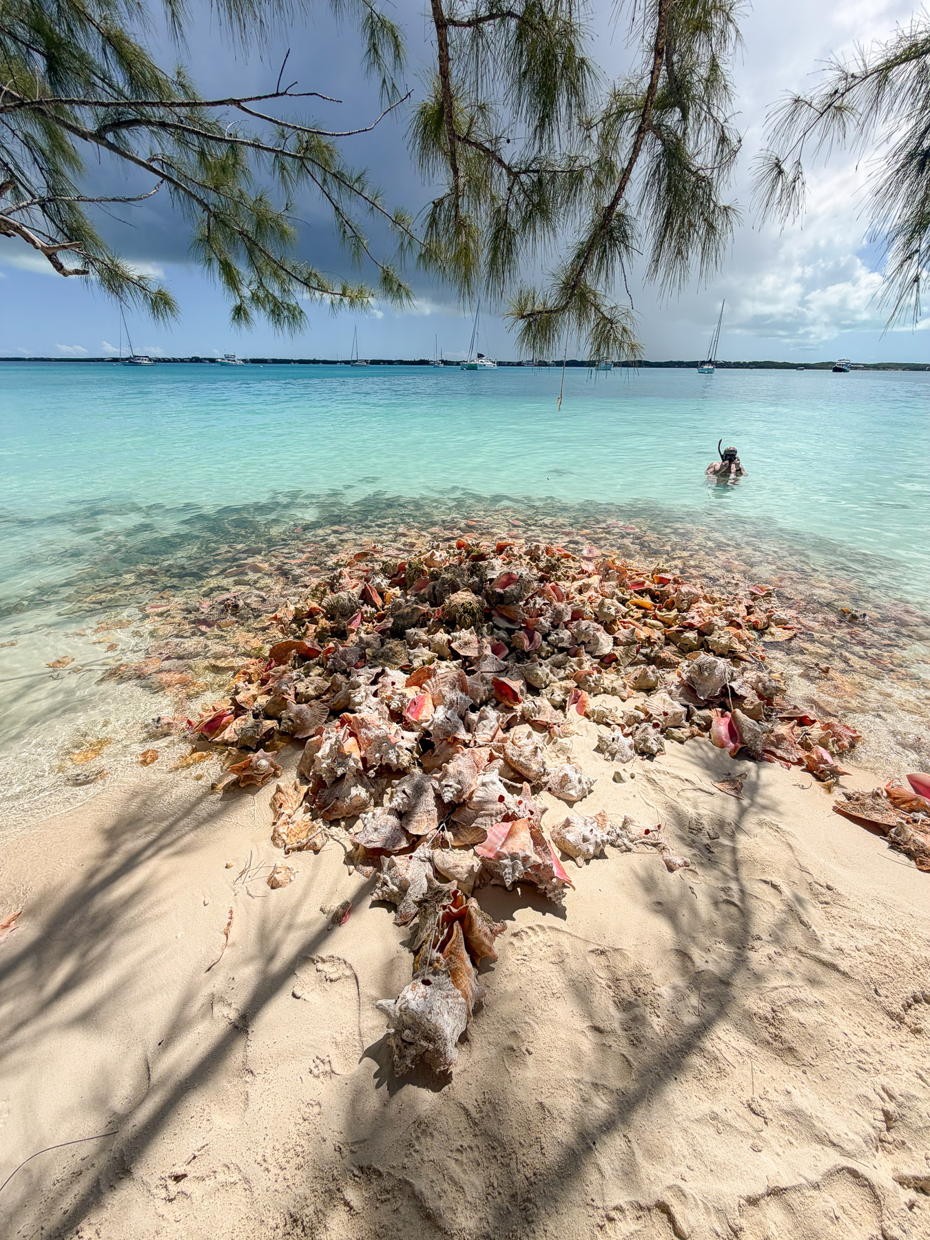 Exuma photo titled Exuma 85