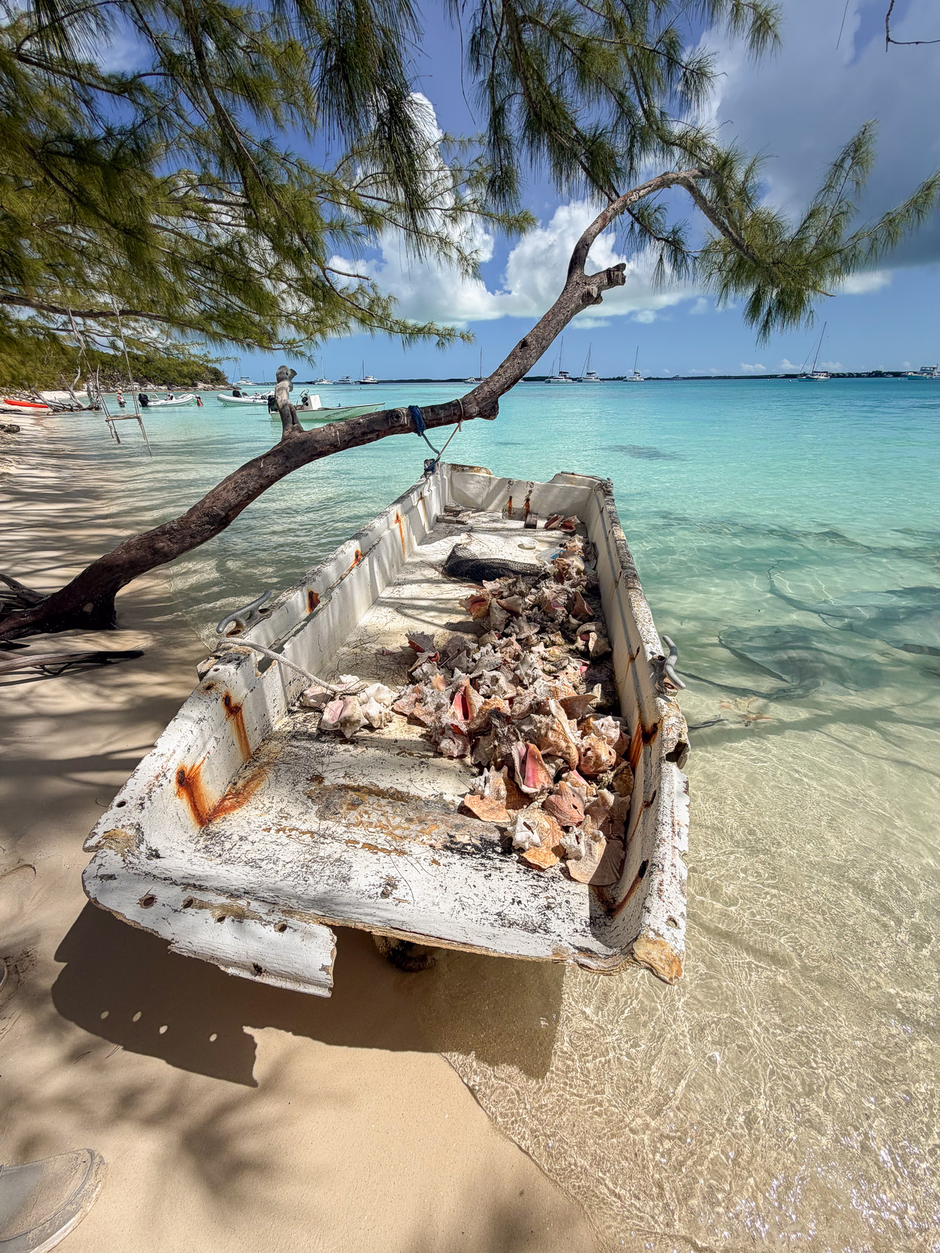 Exuma photo titled Exuma 86