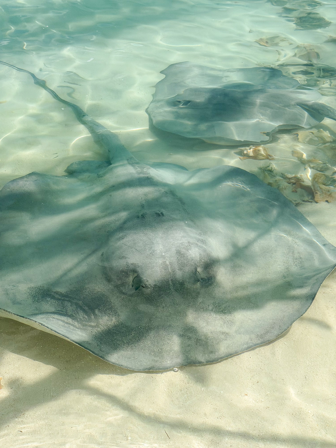 Exuma photo titled Exuma 87