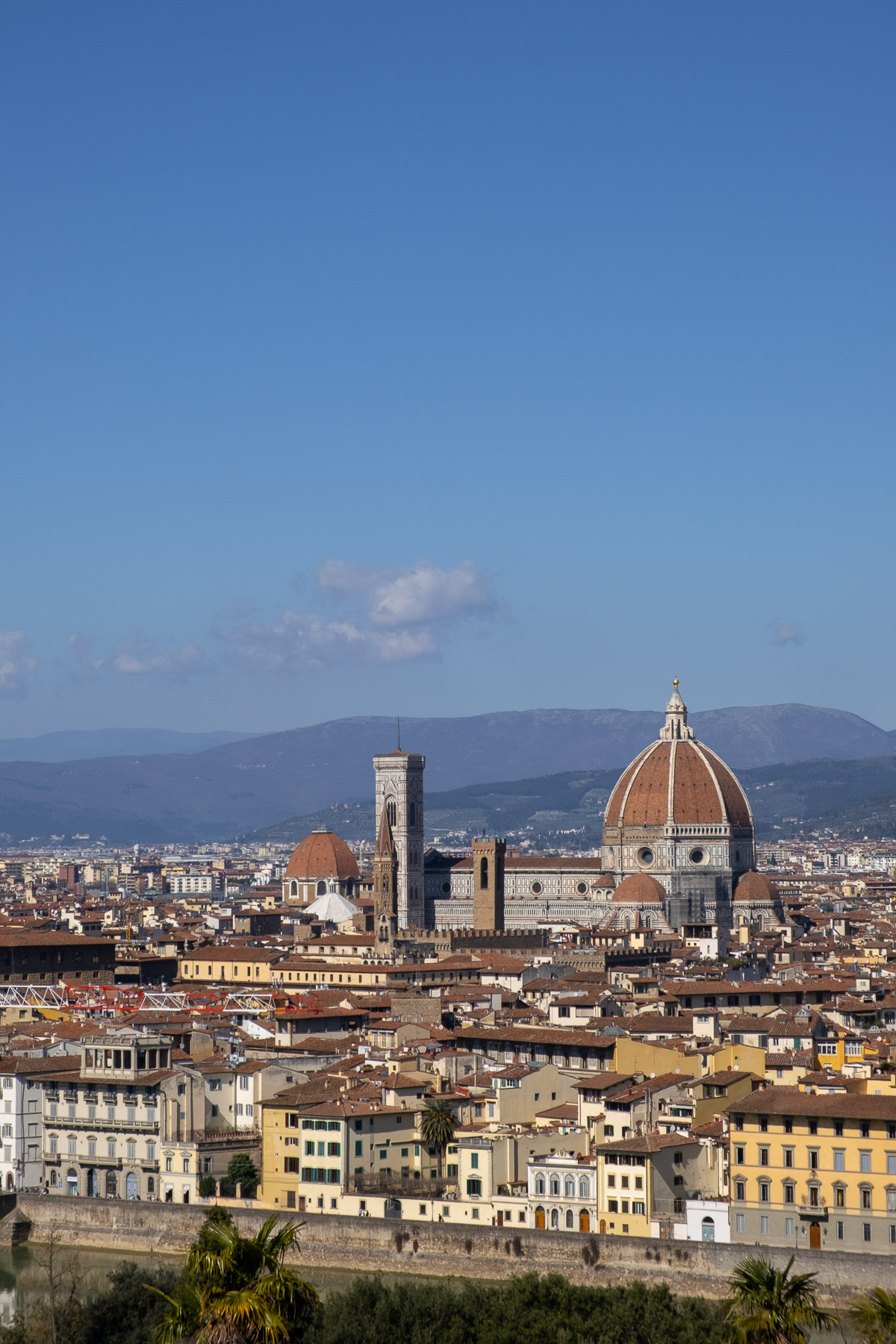 Florence photo titled Florence 43