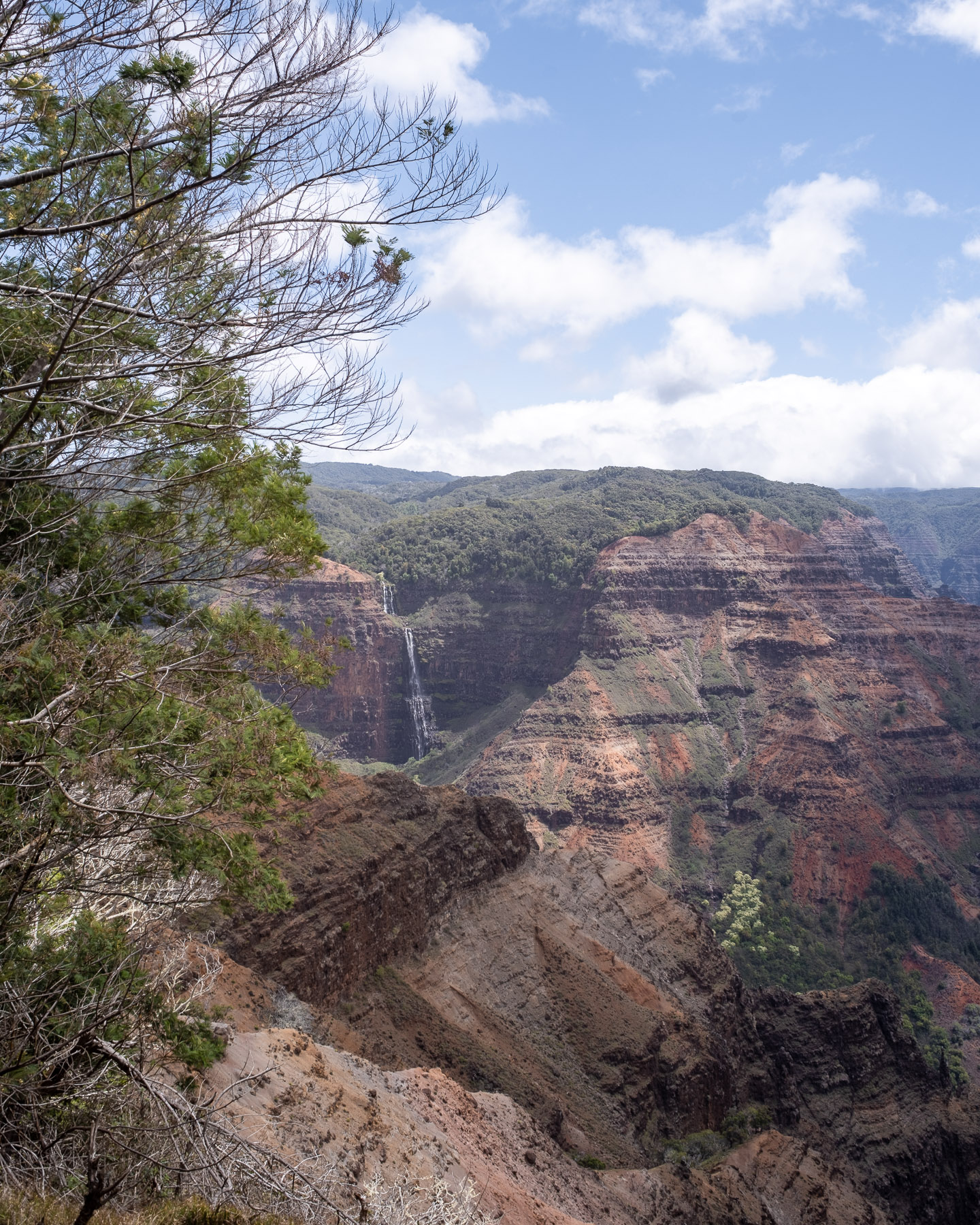 Kauai photo titled Kauai 69
