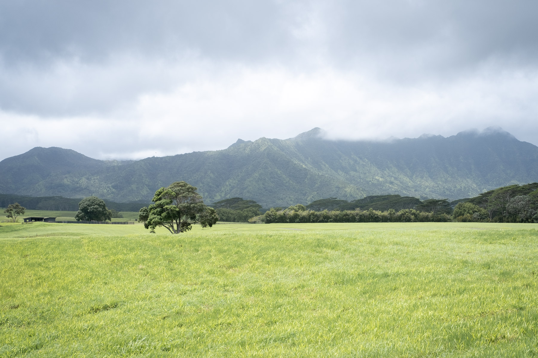 Kauai photo titled Cover